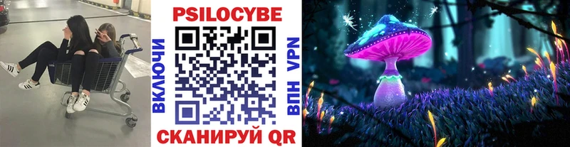 закладка  ссылка на мегу ссылки  Галлюциногенные грибы Psilocybine cubensis  Советский 
